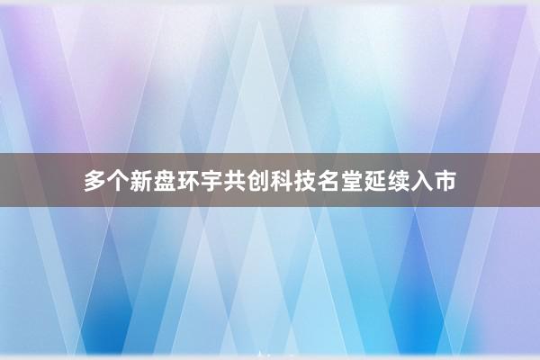 多个新盘环宇共创科技名堂延续入市